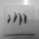 아마존 동물병원 이미지