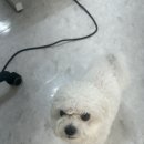 멍키매직 이미지