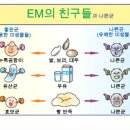 좋은미생물 이미지