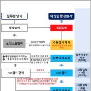 수동