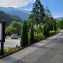 곡성나무펜션 세그루,네그루,다섯그루,여섯그루 이미지