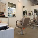 헤어재인 이미지