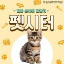 (단기)반려동물 펫시터(자격증) 이미지