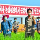 재령농장 이미지