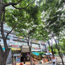 닥터모락 당산점 | 영등포두피관리 닥터모락 당산점 후기