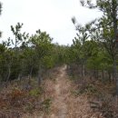 우전 태양광발전소 이미지