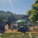 영천동물병원 이미지