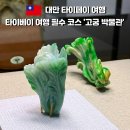 고궁온천 | 대만 타이베이 국립 고궁 박물관 한국어 도슨트 투어 후기｜3대 보물 (배추·동파육·모공정)