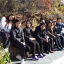 그린국제 특허법률사무소 이미지