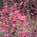 속리산(청주) 이미지