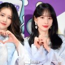 엑시 카카오 검색결과