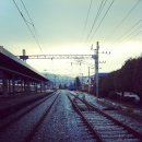 (주)여행이필요해 이미지