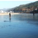 홍천한우