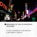 정치주간 머니투데이