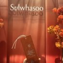 옥축산 | 설화수도산플래그십 팝업스토어 후기 / 인삼젤라또 윤조에센스 자음생크림 샘플