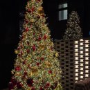 글래드호텔 여의도 | [서울] 서울 여행 가성비 호텔 글래드 여의도 디럭스 트윈 내돈내산 후기