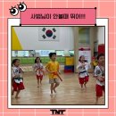 티앤티태권도장 이미지