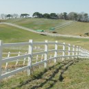 원당목장 이미지