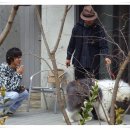 애견모델 이미지