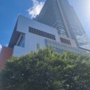 샤워하는 강아지 | [일상] 강남성모병원 건강검진 후기, 고양이·강아지 힐링타임
