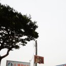 소나무 노래연습장 이미지