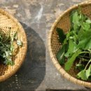 골라먹는재미 이미지