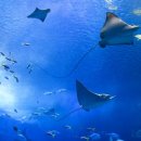 서울장편한내과의원 이미지