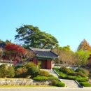 오죽헌주유소 이미지