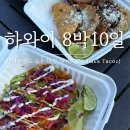 타코아일랜드 | [하와이] 빅아일랜드 숨은 맛집 샤캬타코 Shaka Tacoz 후기