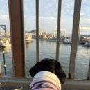 탄도항 공중화장실 (경기도) | 서울 근교 차크닉 명소 탄도항에서 가을전어 노을뷰 감상 후기