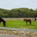 광주목장 이미지