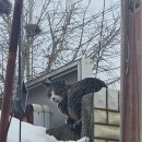 당진시 송악로 665 | [당진 소머리국밥] 한우 소머리국밥 솔직 후기! 🥄🐮