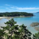 증도 | 전남 신안 증도 여행 - 엘도라도 리조트 (내돈내산 후기)