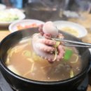 천호낙지 이미지