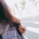 소보헤어 - 포항시 북구 | 소보헤어