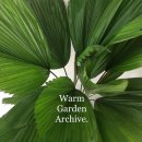 (11/15)플라워박스 꽃꽂이 | [공지] 6월-7월 플라워 정규 클래스_전문반(4week or 8week)