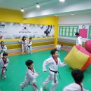 큐브 태권도장 이미지