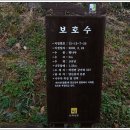 강진8호 이미지