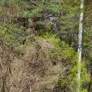 대현메디 이미지