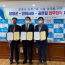 골든힐 이미지