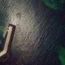 앤씨푸드영어조합법인 이미지