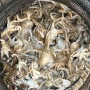 맥가이버 | 영목항 쭈꾸미 낚시 추천 - 유리닦는청년 역대급 만족한 선상낚시 후기 (맥가이버호)