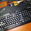 수원-0056 이미지