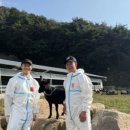 토종흑염소농장 이미지