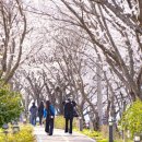 영산포풍물시장 이미지