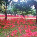 CU(서산읍내점) 이미지