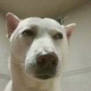 별이향 여서점 이미지