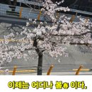 이렇게봄