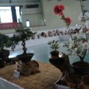 호암체육관 이미지