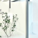 하이네일스튜디오